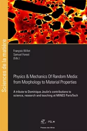 Physics et Mechanics of Random Media: from Morphology to Material Properties