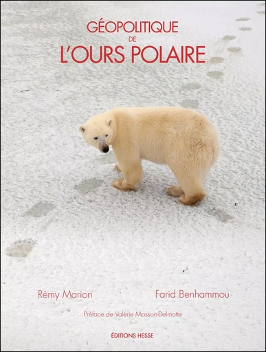 Géopolitique de l'ours polaire -  - HESSE