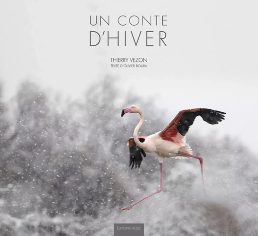 Un conte d'hiver -  - HESSE