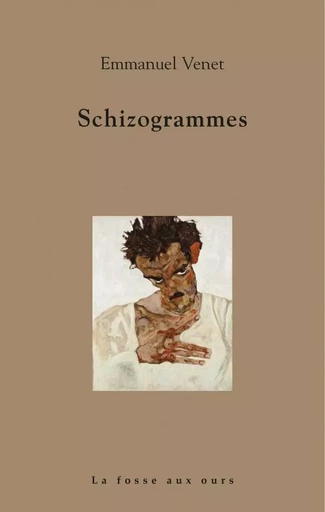 Schizogrammes - Emmanuel Venet - FOSSE AUX OURS