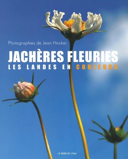 Jacheres Fleuries,Les Landes en Couleurs - Jean Hincker - Le Bord de l'Eau