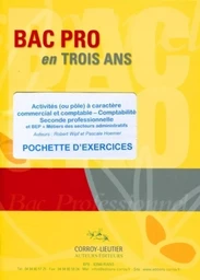 Activités (ou pôle) à caractère commercial et comptable