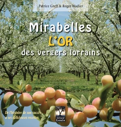 Mirabelles, l'or des vergers lorrains