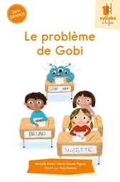 Le problème de Gobi