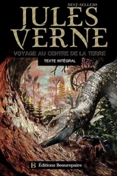 Voyage au centre de la Terre