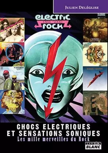 CHOCS ELECTRIQUES ET SENSATIONS SONIQUES Les mille merveilles du Rock - Julien Deleglise - CAMION BLANC