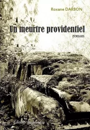 Un meurtre providentiel