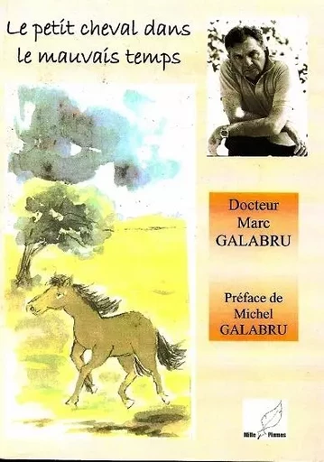 le petit cheval dans le mauvais temps - Marc Galabru - MILLE PLUMES