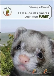 Le b.a.-ba des plantes pour mon FURET