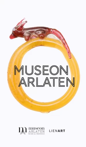 Museon Arlaten -English -  Collectif - LIENART