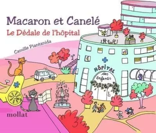 Macaron et Canelé "Le dédale de l'hôpital" - Camille Piantanida - Edition Mollat