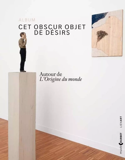 ALBUM CET OBSCUR OBJET DE DESIRS AUTOUR DE L ORIGINE DU MOND -  Collectif - LIENART