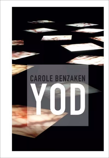 Carole benzaken yod - Numa Hambursin - LIENART