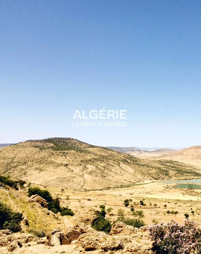 Algérie, le rêve d'un réel -  Damani abdelkader - LIENART