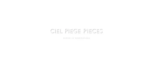 Ciel piege pieces erwan le bourdonnec - Morad Montazami - LIENART