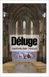 Deluge barthelemy toguo