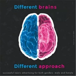 Different Brains, Different Approach /anglais