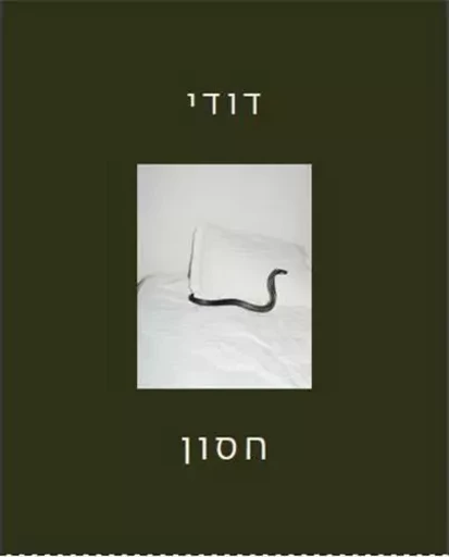 Dudi Hasson As Far As Close /anglais -  HASSON DUDI - LIBRARYMAN