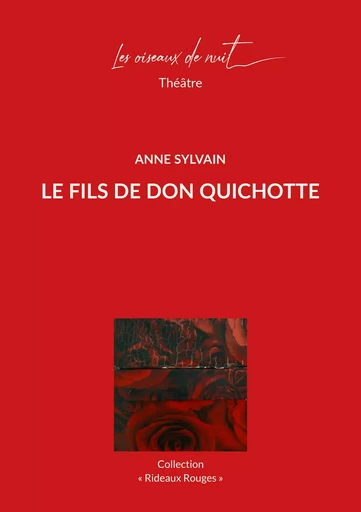 Le fils de Don Quichotte - Anne Sylvain - OISEAUX DE NUIT