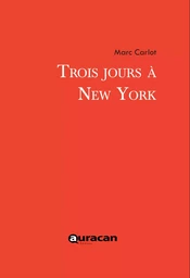 Trois jours à New York