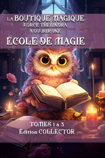 BOUTIQUE MAGIQUE FORCE THÉLINDRA À OUVRIR UNE ÉCOLE DE MAGIE (LA) T1 T2 T3 DYS - Frédéric Luhmer - EDITIONS NOLDUS