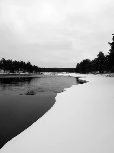 Blanc & noir - Jørn H. Sværen - Vies Parallèles