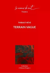 Terrain Vague