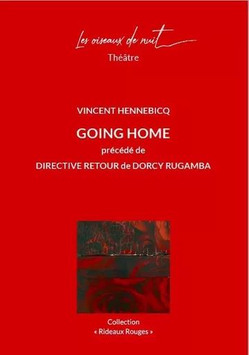 Going Home - Vincent Hennebicq - OISEAUX DE NUIT