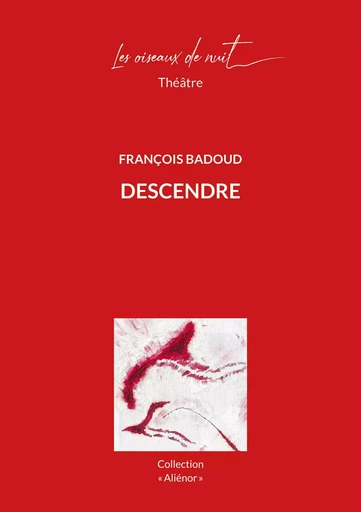 Descendre - François Badoud - OISEAUX DE NUIT