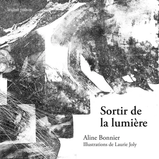 Sortir de la lumière - Aline Bonnier - LE CHAT POLAIRE