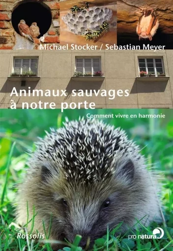 ANIMAUX SAUVAGES A NOTRE PORTE - Michael Stocker, Sebastian Meyer - ROSSOLIS