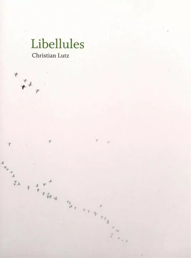 Libellules - Christian Lutz - Héros-Limite