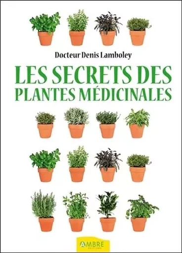 Les secrets des plantes médicinales - Denis Lamboley - CHEMINS DE VIE EDITIONS SARL