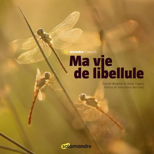 Ma vie de libellule - Daniel Magnin - LA SALAMANDRE