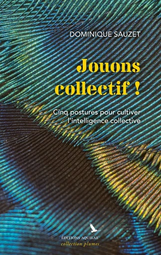 Jouons collectif ! - Dominique Sauzet - AQUILAE