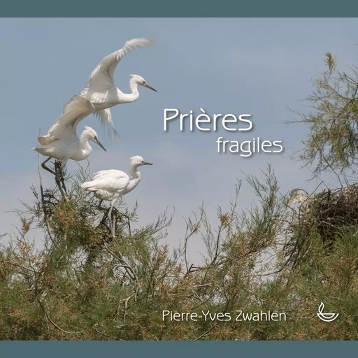 Prières fragiles - Pierre-yves Zwahlen - LLB SUISSE