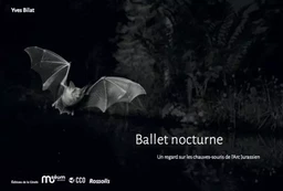 Ballet nocturne