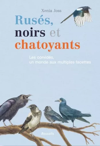 RUSES, NOIRS ET CHATOYANTS - XENIA JOSS - ROSSOLIS