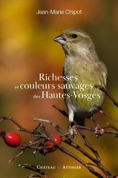 RICHESSES ET COULEURS SAUVAGES DES HAUTES-VOSGES