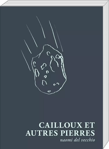 Cailloux et autres pierres - Naomi Del Vecchio - ART FICTION