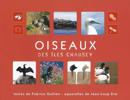 Oiseaux des îles Chausey - GALLIEN F/ EVE J.-L. - AQUARELLES