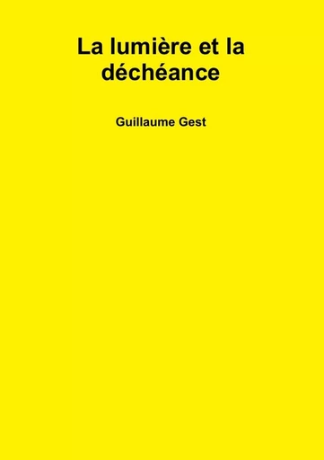 La lumière et la déchéance - Guillaume Gest - LULU