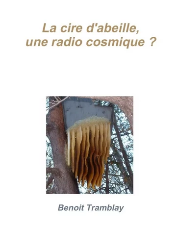 La cire d'abeille, une radio cosmique ? - Benoit Tramblay - LULU