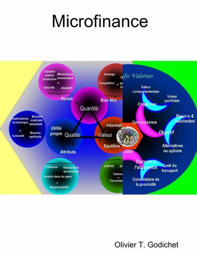 Microfinance - Olivier T. Godichet - LULU