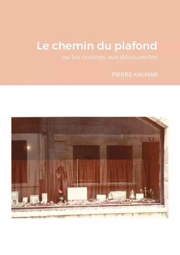 LE CHEMIN DU PLAFOND - Pierre KALMAR - LULU