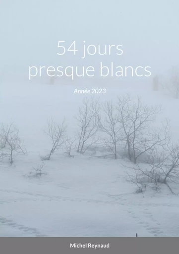 54 jours presque blancs - Michel Reynaud - LULU