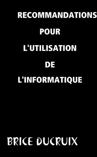 RECOMMANDATIONS POUR L'UTILISATION DE L'INFORMATIQUE - BRICE DUCRUIX - LULU