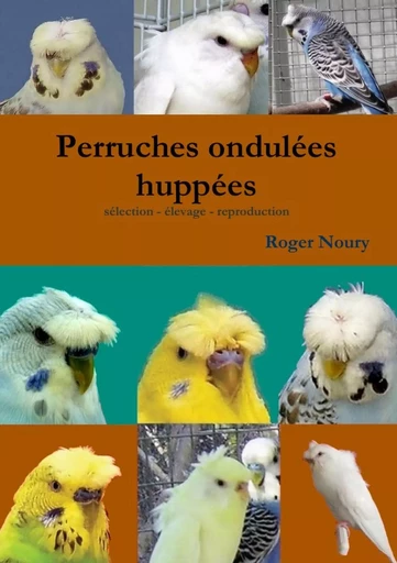 Les perruches ondulées  huppées    selection - élevage - reproduction - roger noury - LULU