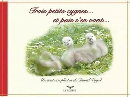 Trois petits cygnes et puis s'en vont